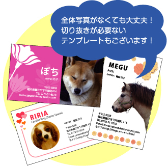 μ̿ʤƤ褤ƥץ졼Ȥ⤢ޤ