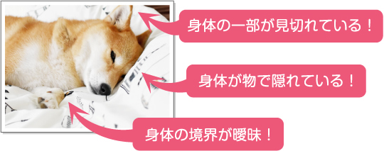 ڥåȤطʤζ狼ʤ̿ΤƤ뤪̿