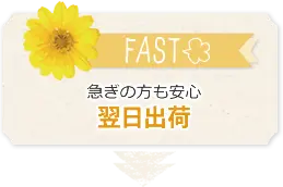 ̿̾(ˤ)̾в٤ûǼǤޤ¿
