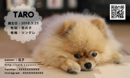 ץʥǥ󤬥ڥåȤڤ䤫ˤ襤ޤ