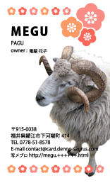 䤵ɤưʪˤ礤ޤ
