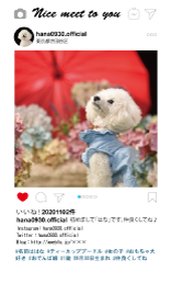 ̿ʸǤǥ󥹥̾ɤǤޤ